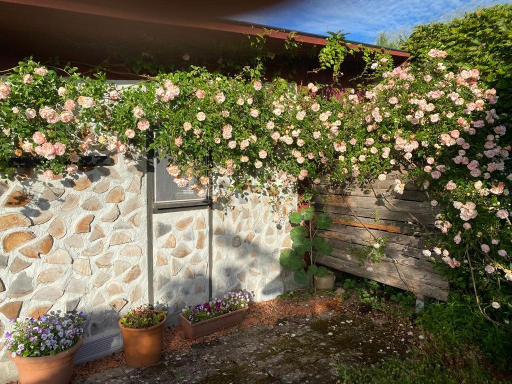 La Maison Du Potager Saint-Racho Buitenkant foto